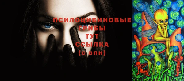 соль курить ск Заводоуковск