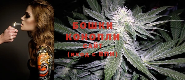 соль курить ск Заводоуковск